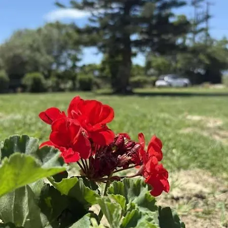 Hector's Kalamákion